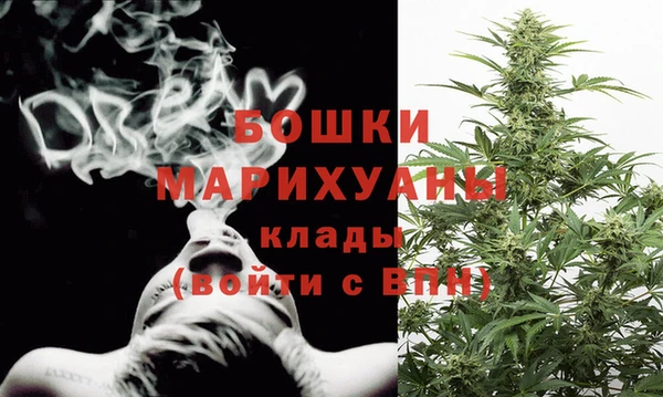 мет Дмитриев