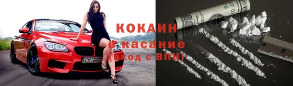 прущие грибы Дмитровск