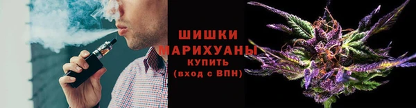 мет Дмитриев