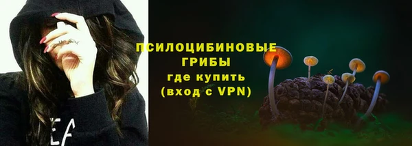 прущие грибы Дмитровск
