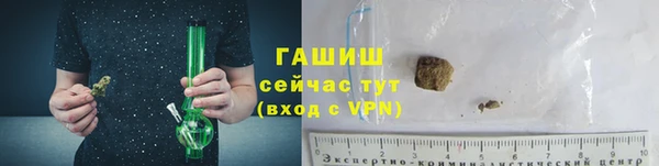 прущие грибы Дмитровск