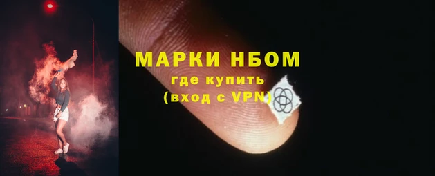 прущие грибы Дмитровск