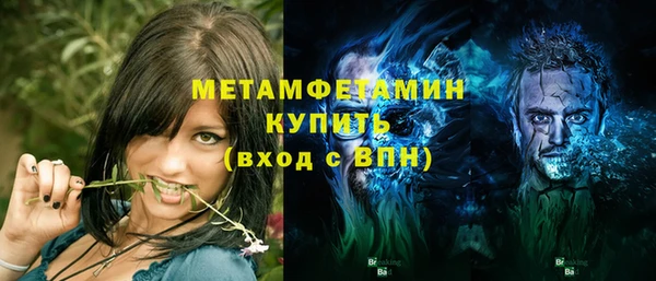 прущие грибы Дмитровск