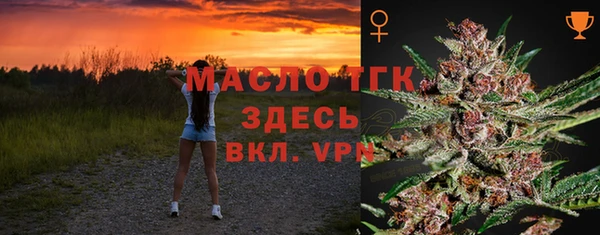 мет Дмитриев