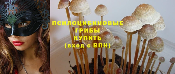 бутират Ладушкин