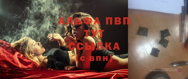шишки Куйбышев